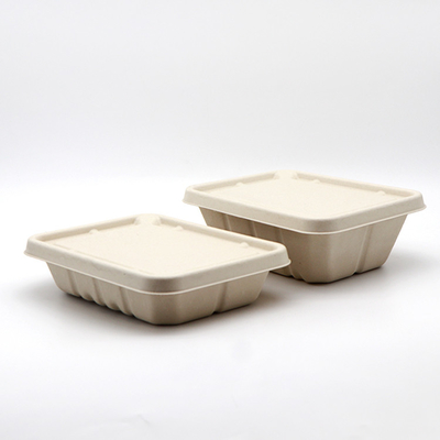 Pulp die niet Plastic Clamshell-de Machine Semi Automatisch vormen van de Lunchdoos