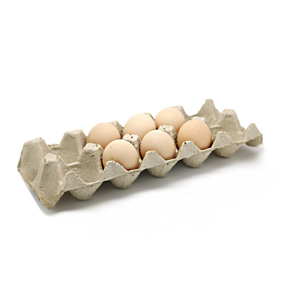 Eco Vriendschappelijke Document Gevormde Machine om het Fruit Tray Coffee Cup Tray Te maken van het Eikarton