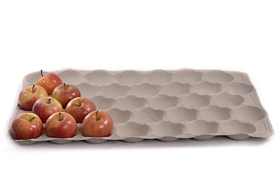 Eco Vriendschappelijke Document Gevormde Machine om het Fruit Tray Coffee Cup Tray Te maken van het Eikarton