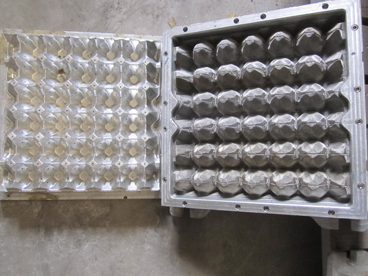 3D Verfraaide Ei Tray Mould van de Papierpulp 30 Gaten 5 Jaar Leven