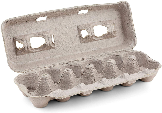 1000pcs/hr de Vezelmachine van de verontreinigings Vrije Pulp om Eidoos te produceren