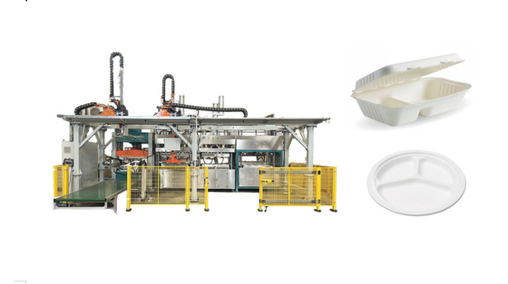 De automatische Vormende Machines van de Papierpulp voor Maagdelijke Pulp die 4000 PCs/Uur vormen