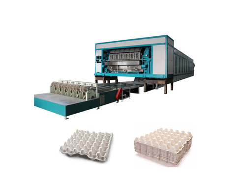 5000-7000pcs/H Productie machine voor eierenbakken met meerdere drooglijnen
