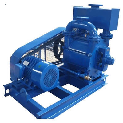Elektrische vloeistofringwatervacuümpomp