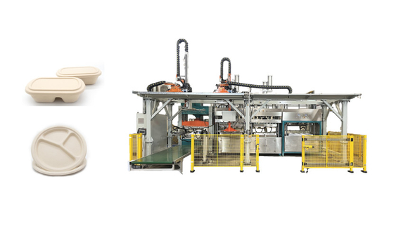 Biologisch afbreekbare Lunch Tray Pulp Molded Production Machine