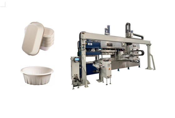 Biologisch afbreekbaar Pulp Gevormd Vlees Tray Machine