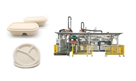 Volledig Automatisch Houtpulpvoedsel die Tray Production Line dienen