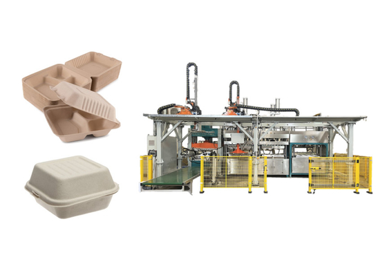 Elektrische verwarming Clamshell Lunch Box Forming Machine Met 400 * 300mm Mould Grootte