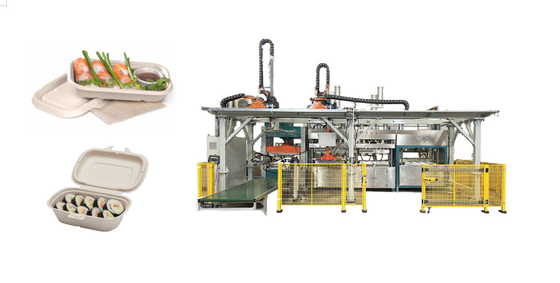 Wegwerppulpvormmachine voor het vormen van voedsel