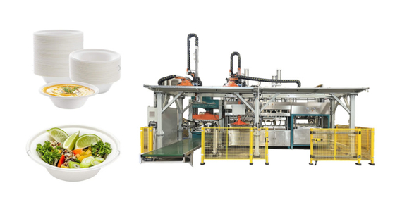 ISO9001 Papierpulpvormmachines voor milieuvriendelijke verpakkingen