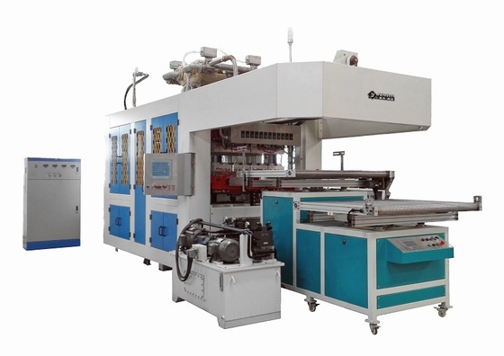 Productie van volledig automatische pulpvormmachines met hoge prestaties voor eenmalig tafelgerei
