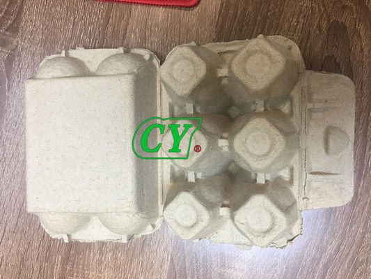 Biologisch afbreekbare Gerecycleerde Vorm 4 Cel 6 van de Papierpulp Cel 1 Jaargarantie
