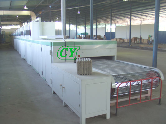 De enige van de de Drogende Machinepulp van de Laagpulp Vormende Productielijn